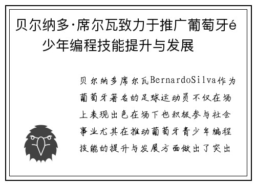 贝尔纳多·席尔瓦致力于推广葡萄牙青少年编程技能提升与发展 贝尔纳多·席尔瓦致力于推广葡萄牙青少年编程技能提升与发展
